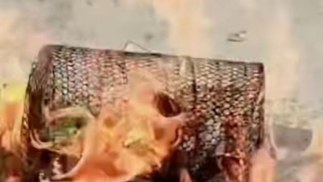 सिद्धार्थनगर में चूहेदानी में फंसे कोबरा को पेट्रोल डालकर जिंदा जलाया, आरोपी पर मुकदमा दर्ज