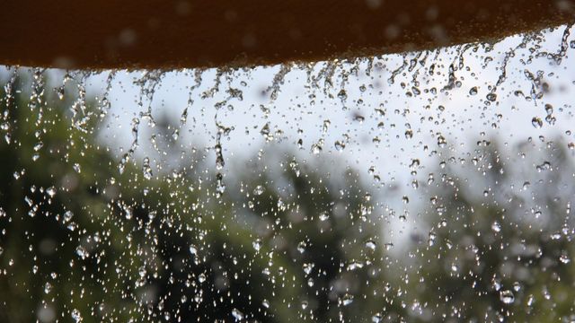 हरियाणा के इन तीन जिलों के लोग हो जाएं सावधान! 5 अगस्त तक बारिश की संभावना
