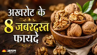 सेहत का असली खजाना है अखरोट (Image Source: AI-Generated)