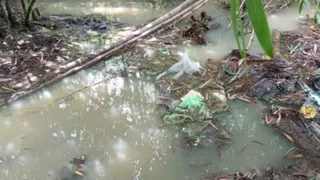 जलमग्न ग्रामीण क्षेत्र