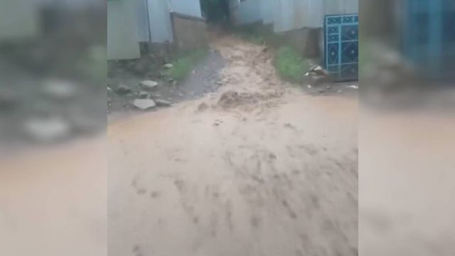 जम्मू-कश्मीर के गांदरबल में बादल फटने से तबाही, घरों और बागों में घुसा पानी; जनजीवन प्रभावित
