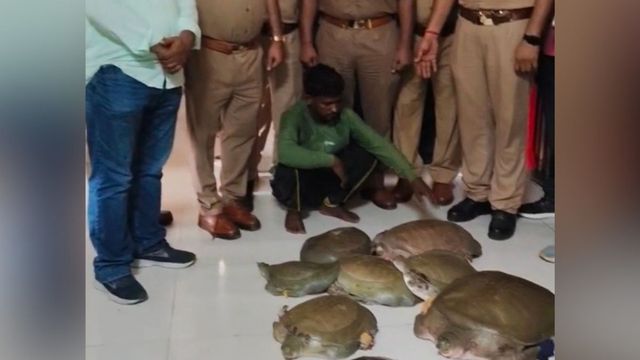 वाराणसी में कुंभा एक्सप्रेस ट्रेन से 150 साल पुराने दुर्लभ कछुओं के साथ तस्कर गिरफ्तार, 12 लाख बताई गई कीमत