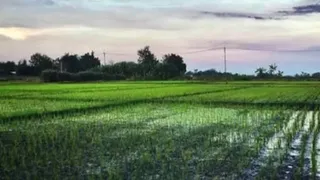 हिमाचल की पंचायतों में मौसम की स्टीक जानकारी मिलेगी। प्रतीकात्मक फोटो