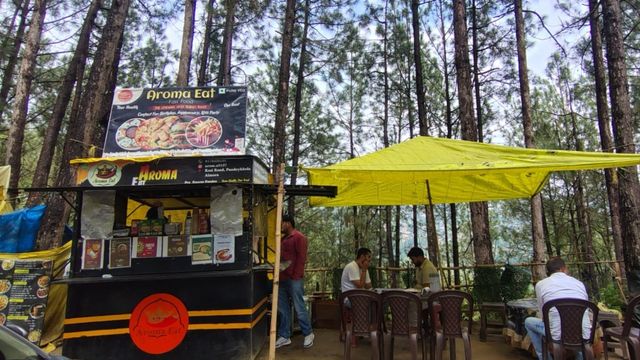 अल्मोड़ा में रिवर्स पलायन से बदली तस्वीर, पहाड़ों में लौटकर आत्मनिर्भर बन रहे युवा
