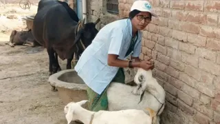 बकरी को दवा पिलाती पशु सखी। फाइल फोटो