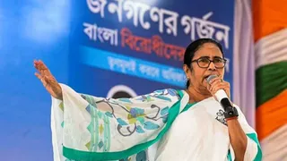 ‘सूरजमुखी’ चुनाव चिन्ह पर लड़ सकती हैं ममता। (फाइल)
