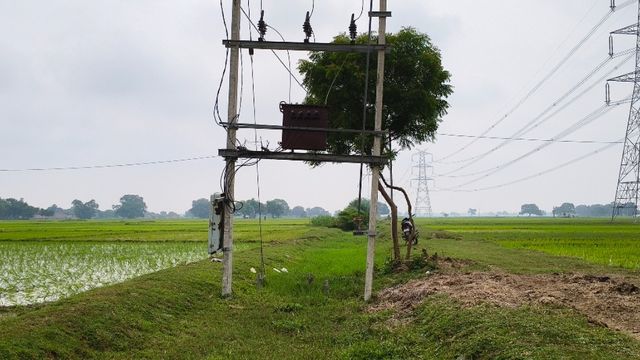आरा में बिजली विभाग का अनोखा कारनामा, नहर के बीचो-बीच गाड़ दिया बिजली का खंभा और लगा दिया ट्रांसफार्मर
