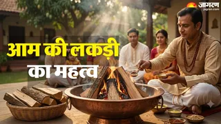 हवन में आम की लकड़ी का इस्तेमाल (Image Source: AI-Generated)