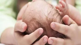 प्रतीकात्मक तस्वीर।