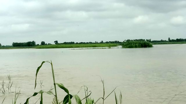 गंगा का जलस्तर घटा: हाईवे से हटा बाढ़ का पानी, लेकिन इन गांवों पर अब भी मंडरा रहा फसलों की बर्बादी का खतरा