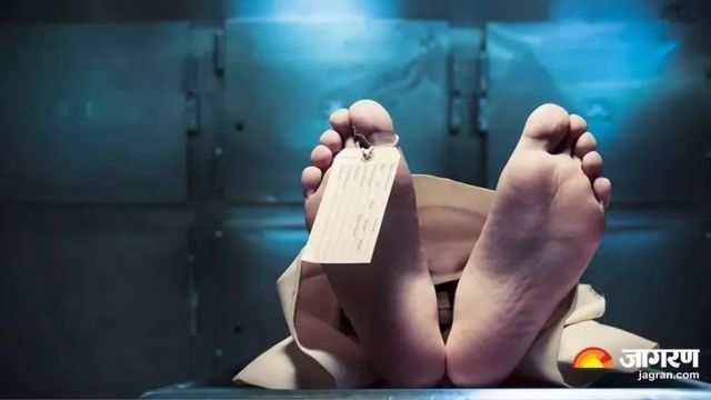 भिवानी के चरखी दादरी में दर्दनाक हादसा, ऑयल मिल में ट्रक से कुचलकर मजदूर ने तोड़ा दम
