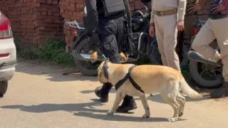 पंजाब: गुरदासपुर के दो स्कूलों को बम से उड़ाने की धमकी (फाइल फोटो)