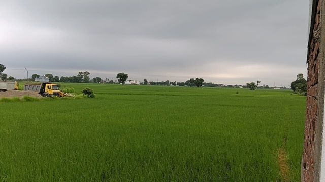 जम्मू: सावन की बारिश से मुस्कुराए अन्नदाता, बंपर उत्पादन की उम्मीद, किसान नेताओं ने बताया कमाई बढ़ाने का फॉर्मूला
