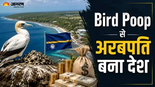 पक्षियों की बीट से मिली दौलत कैसे बनी बर्बादी का कारण (Picture Credit- AI Generated)