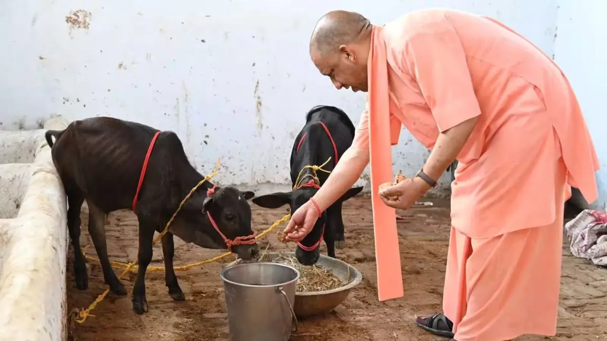 यूपी में नंद बाबा मिशन से संवर रही ग्रामीण अर्थव्यवस्था, 38.8 मिलियन टन हुआ दूध का उत्पादन; हजारों युवाओं को मिला रोजगार