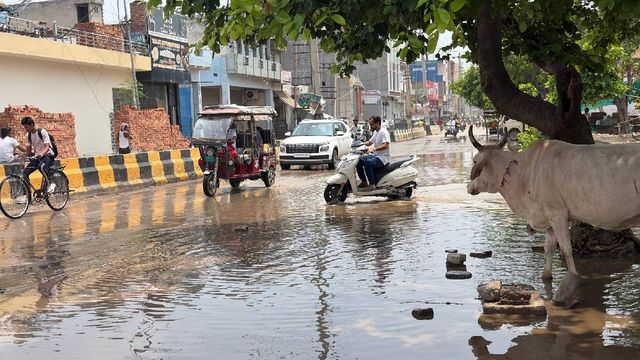 Haryana Weather: हरियाणा में लगातार बदल रहा मौसम का मिजाज, कई शहरों में बूंदाबांदी; आज 6 जिलों में तेज बारिश का अलर्ट  


