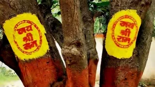 कीर्तन समिति की पहल पर मां भद्रकाली मंदिर परिसर में 5 हजार से अधिक पेड़ों पर लिखा जाएगा 'जय श्री राम।
