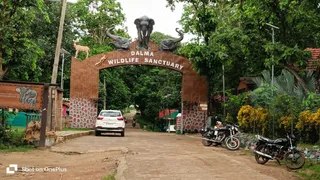 वन्यजीवों के लिए विख्यात दलमा पहाड़ पर कभी नक्सलियों की बंदूकें गूंजती थीं।