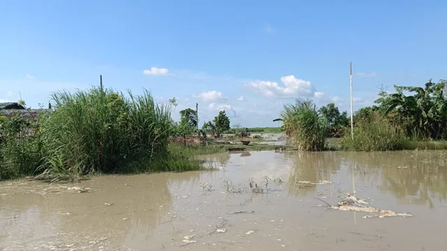 कोसी नदी के जलस्तर में उतार-चढ़ाव जारी, बराज के खोले गए 21 फाटक