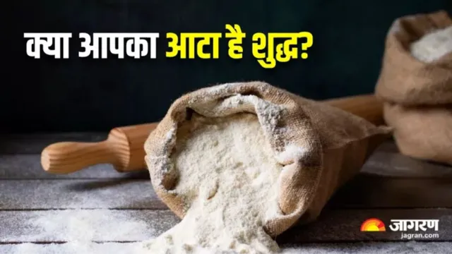 गेहूं के आटा में टेलकम पाउडर, मैनपुरी में पूर्व चेयरमैन के पुत्र की फैक्ट्री में गोलमाल; चमकदार और सफेद बनाने के लिए मिलावट