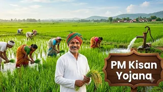 धान (कॉमन) की MSP ₹2441 प्रति क्विंटल तय।
