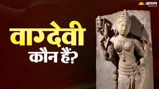 हिंदू मां वाग्देवी (धार जिले के भोजशाला)