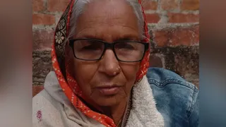 लज्जावती, फाइल फोटो