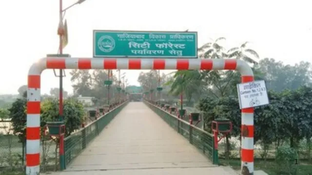 सिटी फॉरेस्ट के हिंडन पुल का होगा कायाकल्प, जीडीए करेगा 34.80 लाख खर्च