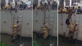 सूचना मिलते ही फायर स्टेशन कोतवाली से एफक्यूआरवी और कविनगर से एक फायर टेंडर मौके पर भेजा गया।