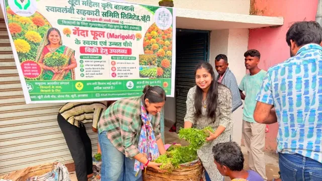 खूंटी में अफीम का विकल्प बनी गेंदा की खेती, 200 किसानों को बांटे गए 2 लाख पौधे

