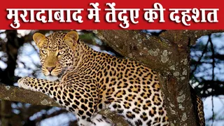 प्रतीकात्मक इमेज