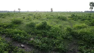 रामपुर रोड बेल बाबा मंदिर के सामने हाईकोर्ट के लिए आवंटित वन विभाग की जमीन। जागरण