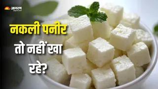 सेहत के लिए खतरनाक है एनालॉग पनीर (Picture Courtesy: Freepik)