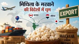 इसमें एआई जनरेटेड तस्वीर लगाई गई है।