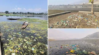 मानसबल झील का पानी खतरनाक स्तर पर प्रदूषित।