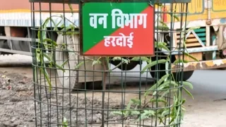 इमली रोड पर लगाए गए 102 पौधे।
