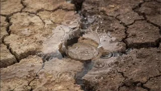 बारिश के बाद मिट्टी की सोंधी खुशबू क्यों आती है? (Picture Courtesy: Freepik)