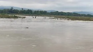 गाद की होगी नीलामी