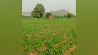 तकनीक के आगे बौनी साबित हुई दो दिन की ट्रेनिंग (फाइल फोटो)