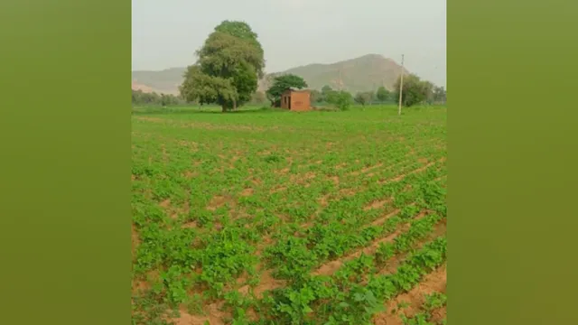 हरियाणा के चरखी दादरी में तकनीक के आगे बौनी साबित हुई दो दिन की ट्रेनिंग, शो-पीस बनी लाखों की रोवर्स मशीनें