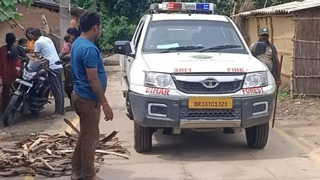 West Champaran : रेलवे स्टेशन के पास दिखा बाघ, गांवों में माइकिंग कर अलर्ट हुआ वन विभाग