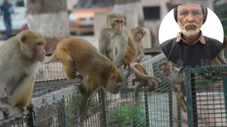 इंसेट में मृतक का फाइल फोटो।