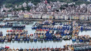 चीन में टाइफून डॉल्फिन का अलर्ट (फोटो- रॉयटर्स)