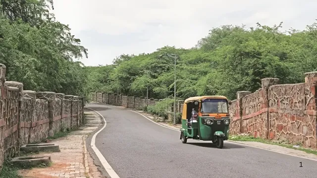 दिल्ली के भाटी गांव में वन भूमि पर कब्जे का आरोप, NGT ने लिया संज्ञान; वन विभाग से मांगी विस्तृत रिपोर्ट