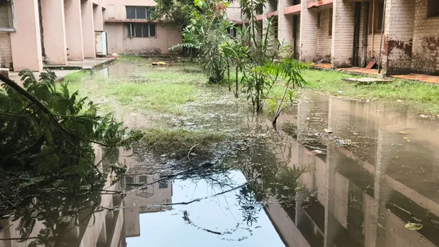 गांवों की गलियों से लेकर हाईवे तक जलभराव, भारी बारिश से बढ़ी बहादुरगढ़ के लोगों की मुश्किलें
