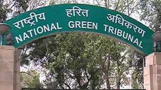 एनजीटी ने असोला वन भूमि पर सड़क निर्माण पर नोटिस दिया।