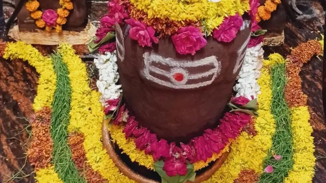 सावन के दूसरे सोमवार पर शिवलिंग पूजा विधि, शिवलिंग पर क्या अर्पित करें और क्या चढ़ाना है वर्जित? बता रहे ज्योतिर्विद
