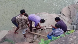 सोनभद्र में तालाब से पांच फुट का मगरमच्छ पकड़ा गया वन विभाग ने सुरक्षित छोड़ा।