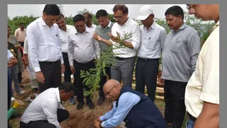 पुटकी बलिहारी क्षेत्र के गोपालीचक कोलियरी में पौधरोपण करते सिंफर के विज्ञानी। (फोटो साैजन्य)