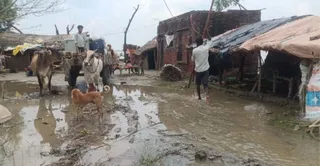 गांव समैचीपुर चितार में पानी भरने से सुरक्षित स्थान पर जाने को बैलगाड़ी में सामान रखते ग्रामीण। जागरण